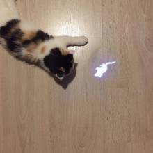 Amazingly Cat Toy Creative and Funny Pet Cat Toys LED Laser Pointer Light Glowing Animated Mouse Portable Keychain Glowing Pen 2024 - buy cheap