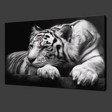 Pintura em tela de tigre branco, pintura na parede de animais selvagens, posteres e impressões, imagens decorativas de arte de parede para sala de estar, decoração de casa 2024 - compre barato