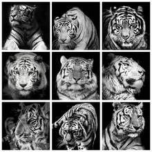 Pintura de diamantes com animais pretos e brancos, 5d, faça você mesmo, bordado, tigre, strass, fotos, mosaico, arte, decoração de casa 2024 - compre barato