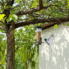 Alimentador de sementes de pássaro selvagem, suporte para tubo de alimentação de alimentos, jardim ao ar livre 2024 - compre barato