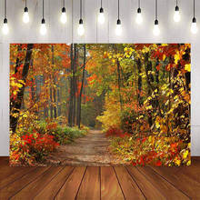 Fondo de fotografía bosque de otoño landspace Fondo otoño Hojas de arce camino telón de fondo para estudio fotográfico papel pintado Póster 2024 - compra barato