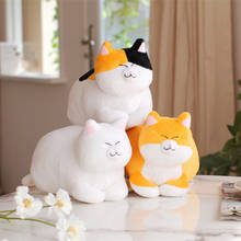 30/40cm Cartoon Cat Plush Soft Bread Cat Appease Doll Round Face Fat Cat Sleeping Pillow Toys For Children Birthday Gift 2024 - buy cheap