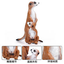 Новая детская модель моделирования диких животных с младенцем Meerkat, стоя Meerkat, енот и Mongoose игрушка украшения 2024 - купить недорого