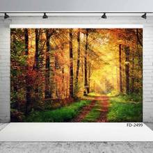 Sutumn Forest Road Grass Fall Woods Path Portrait Children Newborn Photography Background Photographic Backdrop For Photo Studio 2024 - buy cheap