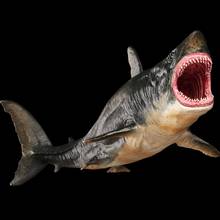 Акула Megalodon 25 см, Классические игрушки для мальчиков, морская жизнь, Древняя модель животного 2024 - купить недорого