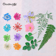 CHUANGGE Natural Decorative Pressed Dried Flower for DIY Candle Making Supplies Wax Tablet Decor Material Handmade Necessary 2024 - buy cheap