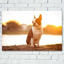 Pinturas decorativas de perro y mascota al atardecer, carteles impresiones en lienzo para decoración para sala de estar 2024 - compra barato