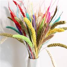 Home Decor Natural Dried Reed Flowers Rabbit Tail Grass Real Plant Used For Party Wedding Diy Bouquet Bedroom Decoration 2024 - buy cheap