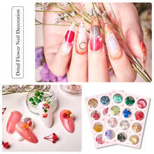 T-TIAO CLUB Dried Flowers Nail Art Decoration DIY Natural Pressed Flora Gel Manicure Stickers Hydrangea Leaf 3D Decor Nail Tips 2024 - buy cheap