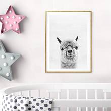 Wall Art Decor Animal Alpaca Art Print and Poster , Alpaca Photography Canvas Painting Picture South American Animal 2024 - buy cheap