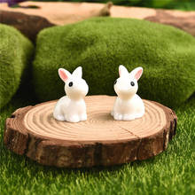 2pcs pair Mini Rabbit Hedgehog Tortoise Ornament Miniature Figurine Plant Pot Fairy Garden Decor Home Decoration supply 2024 - buy cheap