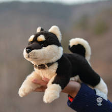 Nice Plush Animals Toy Soft Akita Dog Dolls Real Life Shiba Inu Toys Children Holiday Gifts Good Quality 2024 - buy cheap