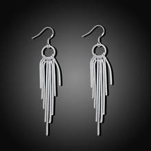 wholesale wedding Cute beautiful Charms fashion women silver color Earrings Wedding Valentine's Day gift Jewelry E273 2024 - buy cheap