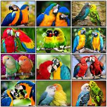Full Square/Round 5d Diamond Painting Parrot Mosaic Diamond Embroidery Cross Stitch Animals Bird Home Decoration New Year Gift 2024 - buy cheap