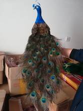 lovely real life peacock model foam& feather beautiful peacock bird gift about 80cm d0036 2024 - buy cheap