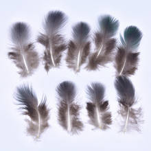 50pcs/Lot Colored Blue Peacock Feathers for Needlework 1-3"/3-8CM Diy Crafts Carnival Accessories Peacock Feather Decor Plumas 2024 - buy cheap