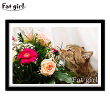 5D DIY Diamond Painting Full Round Square Flower And Cat Art Kit Diamond Embroidery Mosaic Animal Warm Decorations Home 2024 - buy cheap