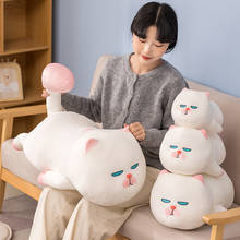 Vivi Cat Plush Toy Cute White Cat Soft Doll Stuffed Animal Kids Toys Cat Pillow Baby Children Birthday Christmas Gift Boy Girl 2024 - buy cheap