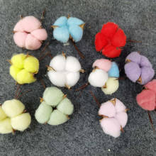 1Pcs Natural Cotton Balls 6 colorsDry Flower Wedding Dried Flowers Plants Artificial Flowers Party Birthday Hotel Deco 2024 - buy cheap