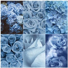 Rosa azul flor diy pintura diamante decoração de casa hortênsia mosaico adesivo diamante bordado arte artesanal presente parede imagem 2024 - compre barato