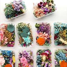1Box Crystal Epoxy Filler Dry Flower Mixed Nail Stickers Decorations Resin Filling Material Crafts Art Jewelry Making DIY Access 2024 - buy cheap