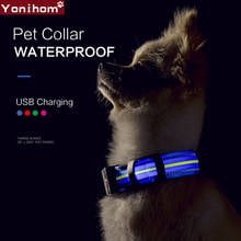 Dog Collar USB Rechargeable LED Dog Collar Luminous Waterproof Glowing Dog Collars with Lights Night Safety Collar for Cats Pets 2024 - buy cheap