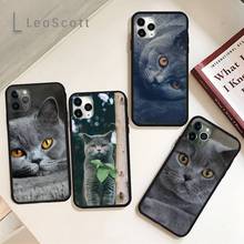 Webbedepp-funda de teléfono con diseño británico de gato corto, para iPhone 11, 12 pro, XS MAX, 8, 7, 6, 6S Plus, X, 5S, SE, 2020, XR 2024 - compra barato