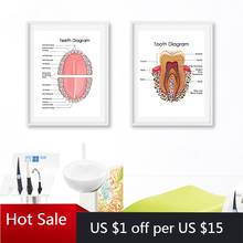 Human Teeth Diagram Prints Dental Clinic Wall Art Medical Education Chart Biology Posters Canvas Painting Doctor Office Wall Dec 2024 - buy cheap