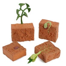 4Pcs Seed Toy Simulation Educational PVC Plant Growth Cycle Model for Home 2024 - buy cheap