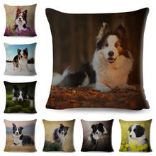 Escócia fronteira collie capa de almofada para o sofá do carro casa animal cão impresso fronha decoração bonito pet poliéster fronha 45*45 2024 - compre barato