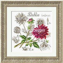 Factory Sale Shadow Series Dahlia Flower Cross Stitch Kit Embroidery Package 2024 - buy cheap