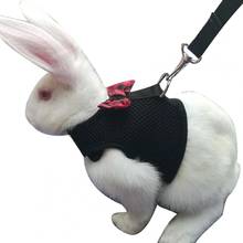 RPet Chest Strap Rabbit Hamster Chest Strap Vest Harness Walking Leash Traction Rope Pet Supply Pet Products Small Animals 2021 2024 - buy cheap