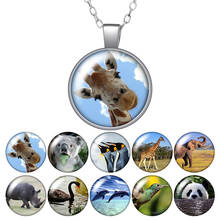 Pingente redondo de golfinho girafa animais panda e golfinho colar 25mm cabochão de vidro cor prata joias para mulheres presente de aniversário 50cm 2024 - compre barato