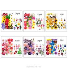 1 Pack Dried Flowers UV Decorative Natural Flower Stickers 3D Dry Beauty Decal  Mold DIY Filling Accessories O28 20 Dropshipping 2024 - buy cheap