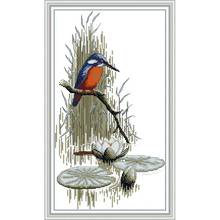 Needlework, Embroidery Kit, DIY Animal Painting, Chinese Cross Stitch Kit, Bird Cross Stitch on 11ct Branch, DMC Embroidery Set 2024 - buy cheap