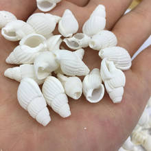 Natural shell White Conch Pendants Exquisite Charms for Jewelry Making DIY Bracelet Necklaces earring Accessories Size 10x18mm 2024 - buy cheap