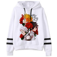 Death Note Seven Deadly Sins Fullmetal Alchemist the Promise Neverland hoodies Oversized anime Korea men pullover grunge 2024 - buy cheap