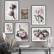 Protea Flower Plant Art Prints Canvas Painting Nordic Poster Wall Art Pictures For Living Room Modern Home Decoration 2024 - buy cheap