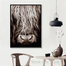 Pintura en lienzo de vaca Highland, pósteres en blanco y negro, impresiones de Cuadros, arte de pared, imagen de toro para sala de estar, decoración del hogar, Cuadros 2024 - compra barato