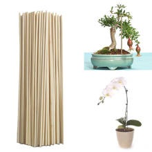 Vara de bambu para cultivo de plantas, 50 peças, haste de madeira para crescimento de plantas, ramos de madeira, hashis 2024 - compre barato