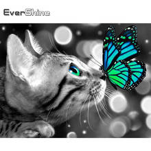 Evershine 5d pintura de diamante gato imitação de diamante arte diamante bordado de animal kit de artesanato decoração de casa 2024 - compre barato