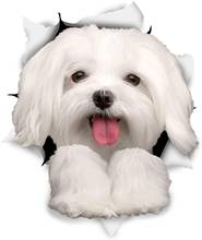 Interesting Cute Maltese Dog Car Sticker Decoration Cover Scratch Decal Laptop Truck Motorcycle Auto Accessories PVC,12cm*9cm 2024 - buy cheap