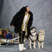 1/6 масштаб Mr.Z No 32 модель животного имитация Alaskan Malamute собака для 12 'фигурку тела сцена аксессуары части шоу игрушки 2024 - купить недорого