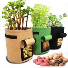 Bolsas de cultivo de plantas dreameger, maceta de patatas para jardín en casa, bolsas de cultivo de vegetales para invernadero, jardín hidratante, maceta Vertical 2024 - compra barato