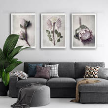 Protea Flower Plant Art Prints Nordic Poster Canvas Painting Wall Art Pictures For Living Room Modern Home Decoration 2024 - buy cheap