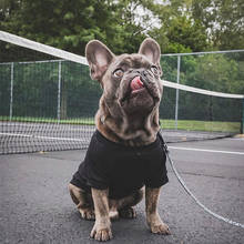 Chihuahua tshirt para poodle verão camiseta para pug vestuário para chihuahua schnauzer XS-2XL pc1035 2024 - compre barato