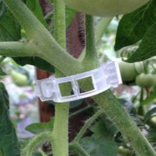 50/100 Pcs Plastic Plant Support Clips For Tomato Hanging Trellis Vine Connects Plants Greenhouse Vegetables Garden Ornament 2024 - buy cheap