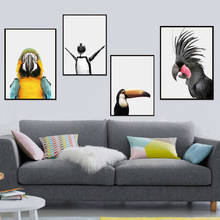 Guacamayo, palmera, cacatúa, Tucán, pingüino, pintura en lienzo, carteles nórdicos e impresiones, imágenes de pared para decoración de sala de estar 2024 - compra barato