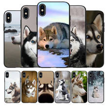 Funda de teléfono de silicona para iPhone, carcasa de color negro con diseño de perro Husky para modelos 13, 12, XR, XS Max, 5, 5S, SE 2020, 6, 6S, 7, 8 PLUS, X, 11Pro Max y 11 2024 - compra barato
