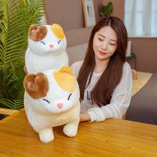 35/45cm Kawaii Fat Cats Plush Toy Stuffed Cute Cat Doll Lovely Animal Pillow Soft Cartoon Cushion Kid Baby Girls Christmas Gift 2024 - buy cheap
